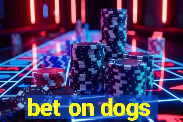 bet on dogs