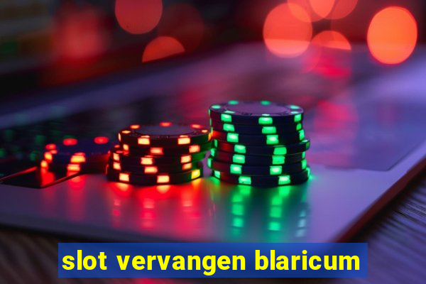 slot vervangen blaricum