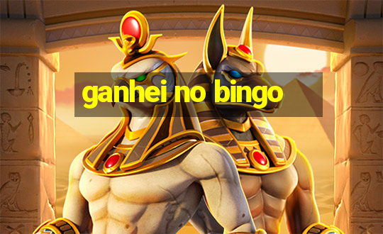 ganhei no bingo