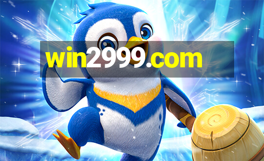 win2999.com