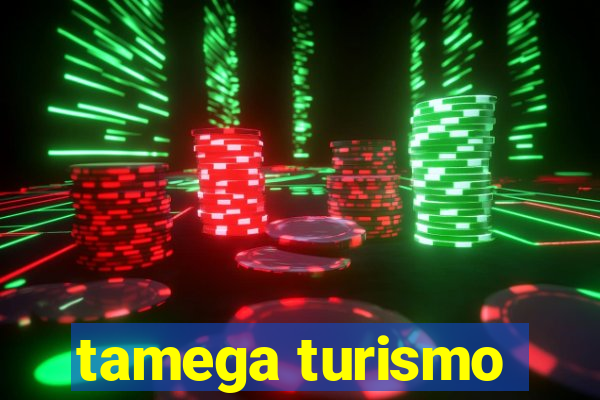 tamega turismo