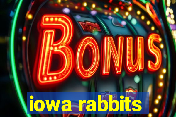 iowa rabbits