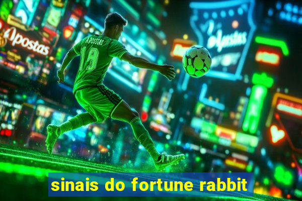 sinais do fortune rabbit