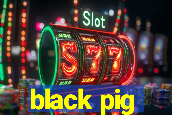 black pig