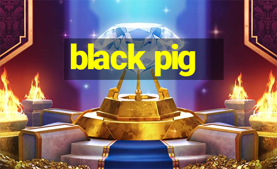 black pig