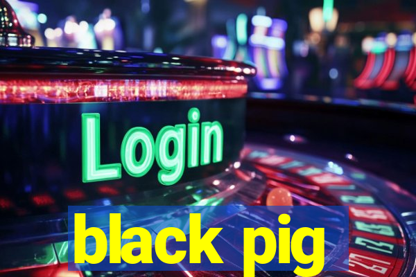 black pig