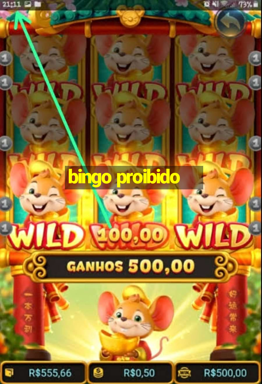 bingo proibido