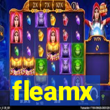 fleamx