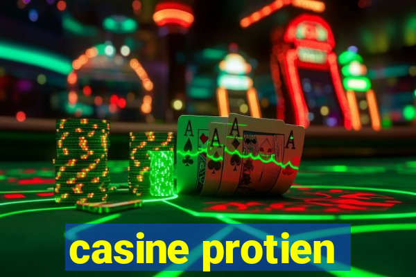 casine protien