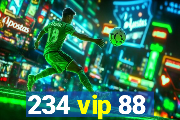 234 vip 88