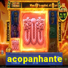 acopanhante