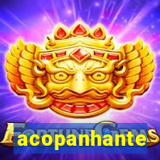 acopanhante