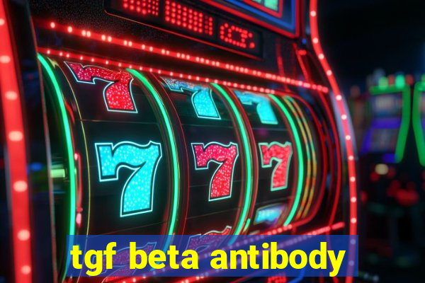 tgf beta antibody