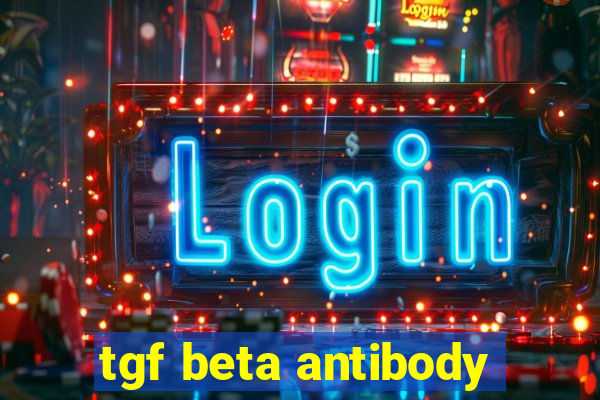 tgf beta antibody