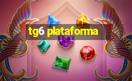 tg6 plataforma