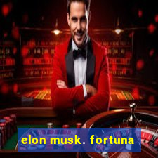 elon musk. fortuna