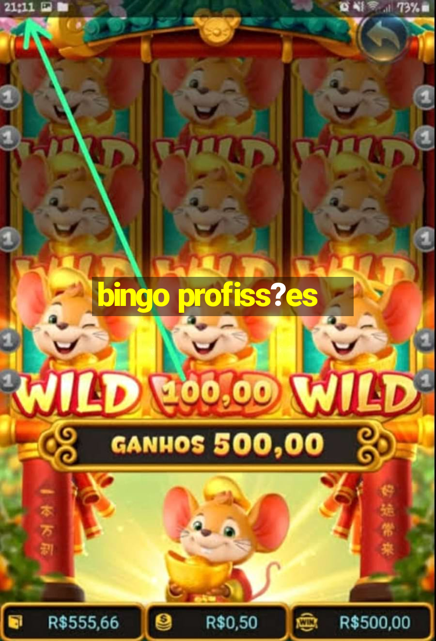 bingo profiss?es