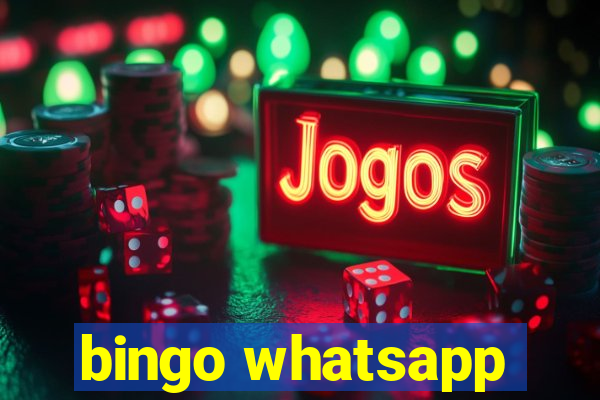 bingo whatsapp