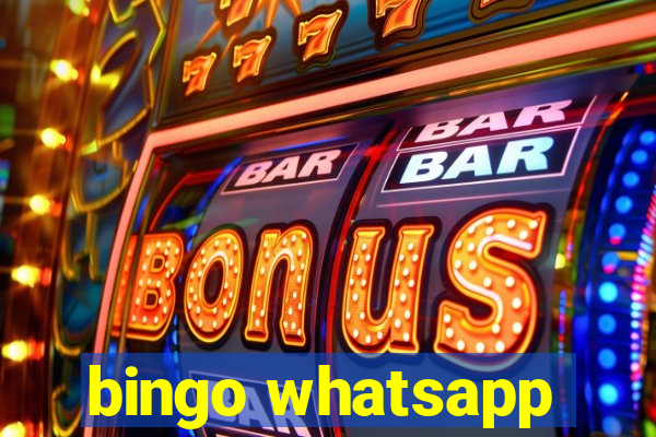 bingo whatsapp