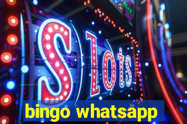 bingo whatsapp