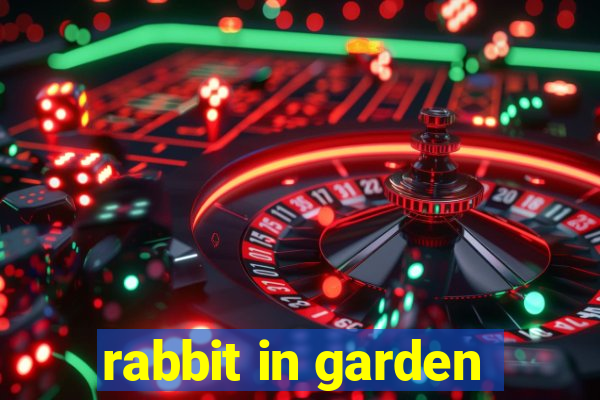 rabbit in garden