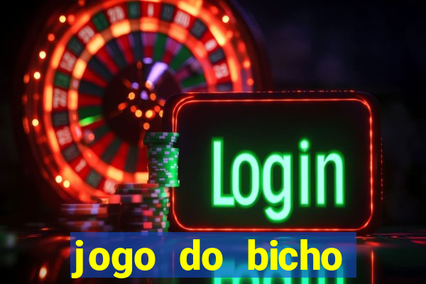 jogo do bicho crash bingo