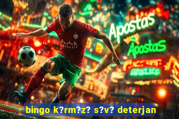 bingo k?rm?z? s?v? deterjan