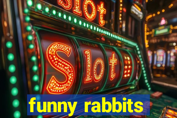 funny rabbits