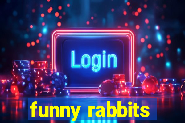 funny rabbits