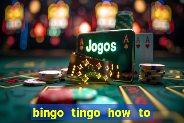 bingo tingo how to use canva