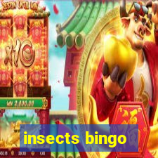 insects bingo