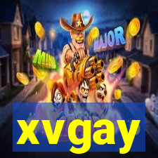 xvgay