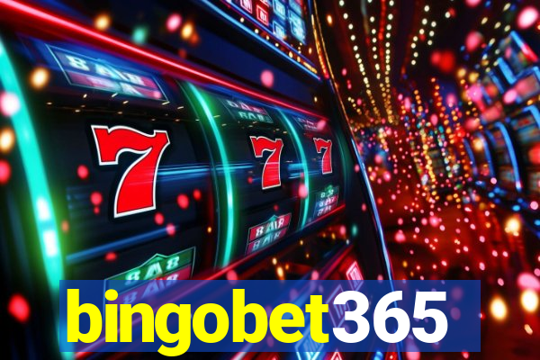 bingobet365