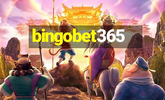 bingobet365