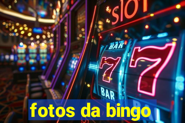 fotos da bingo