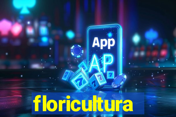 floricultura cruzeiro novo