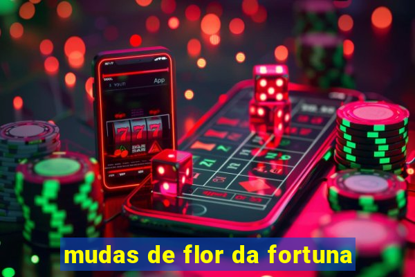 mudas de flor da fortuna