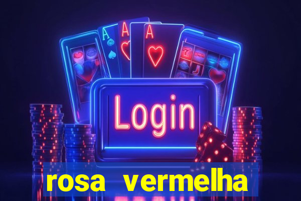 rosa vermelha (letra e cifra)