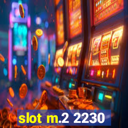 slot m.2 2230