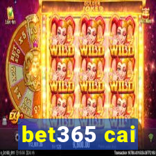 bet365 cai