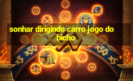 sonhar dirigindo carro jogo do bicho