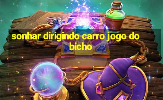 sonhar dirigindo carro jogo do bicho