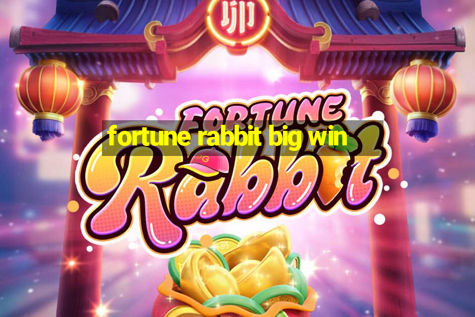 fortune rabbit big win