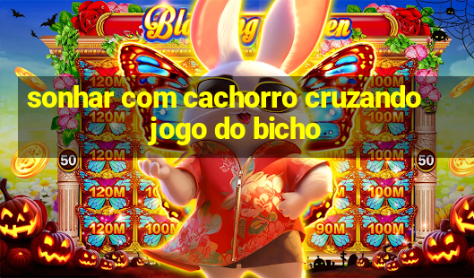 sonhar com cachorro cruzando jogo do bicho