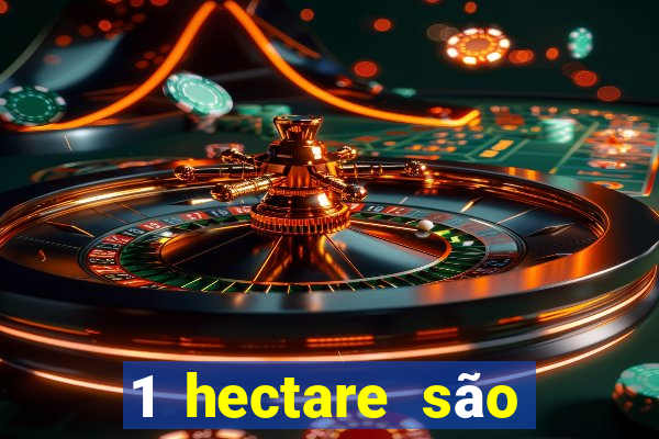 1 hectare são quantas tarefas na bahia