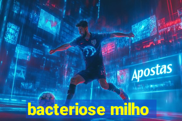 bacteriose milho