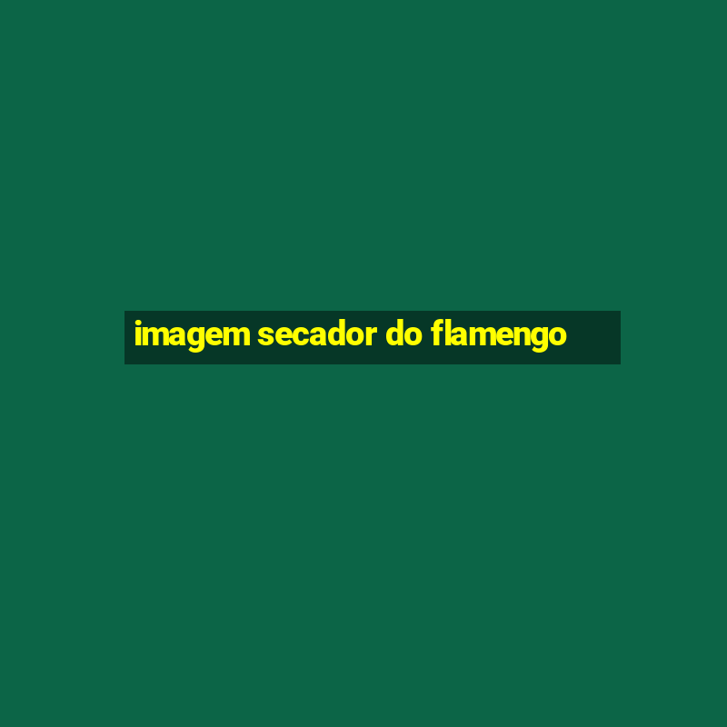 imagem secador do flamengo