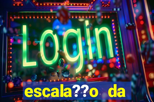 escala??o da bélgica hoje