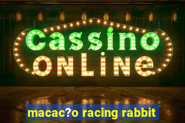 macac?o racing rabbit