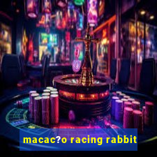 macac?o racing rabbit